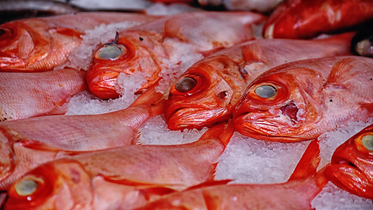 Контейнер с морепродуктами и ледяными кубиками